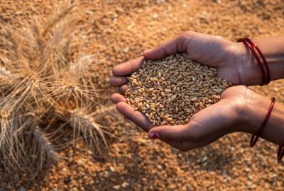 Whole Grains